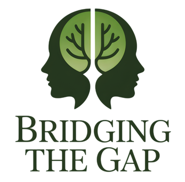 Bridging the Gap logo