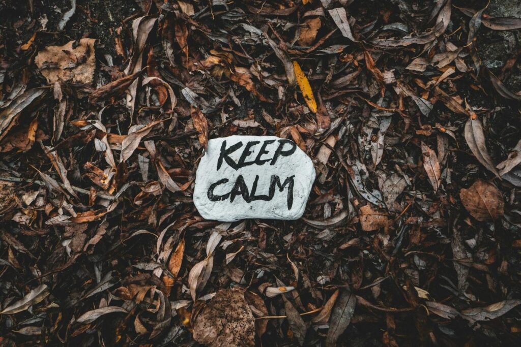 A rock resting on fallen leaves with the words "KEEP CALM" written on its surface.