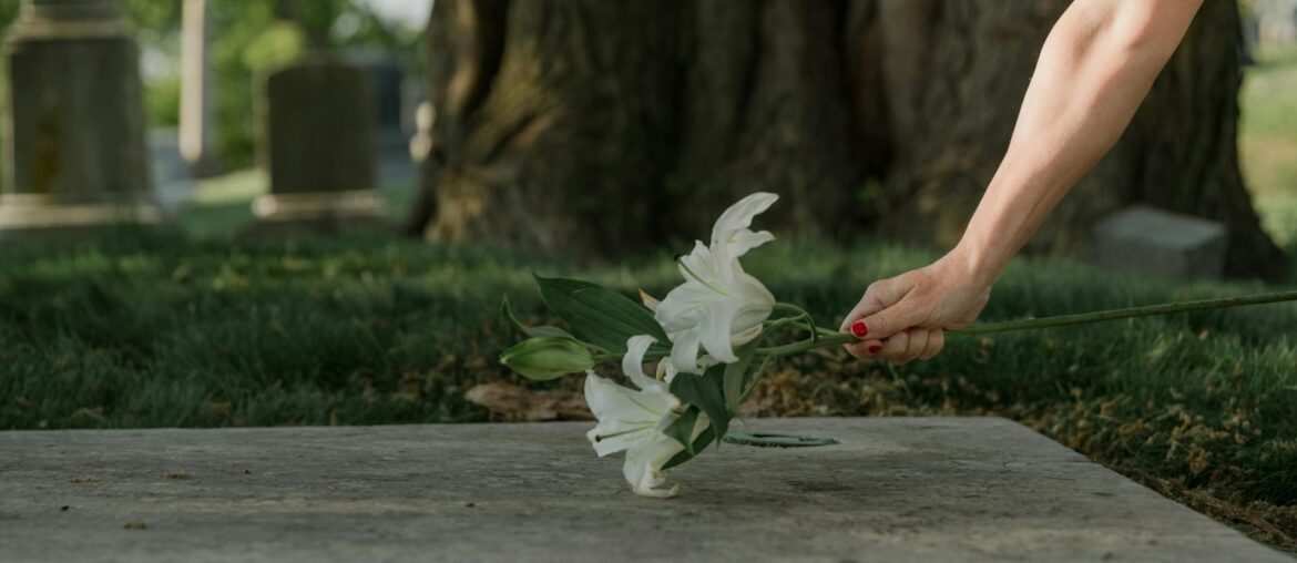 Photo of a Person's Hand Offering Lily Flowers