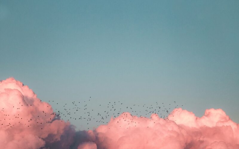Pink clouds with a flock of birds flying in front of it
