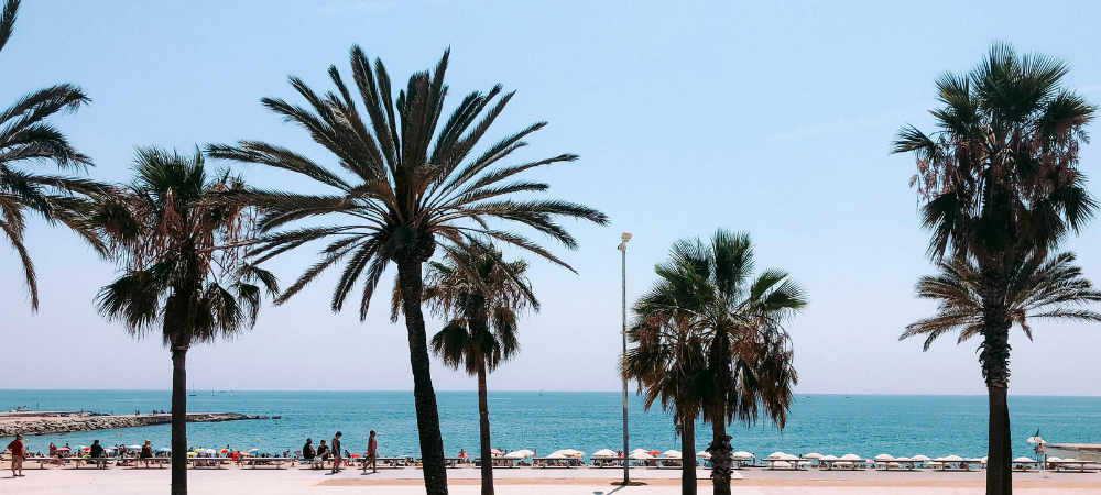 💃🏼 Barcelona Therapist Social: Friday Aperitivo 🍷